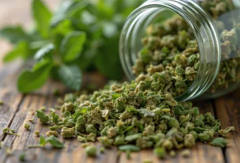 Сушени листићи оригана и млевени оригано зачин на дрвеној површини